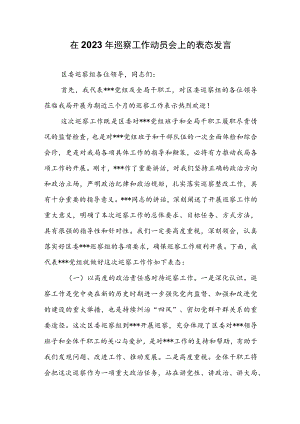 在2023年巡察工作动员会上的表态发言.docx