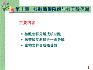 生物化学核酸酶促降解和核苷酸代谢 课件.ppt