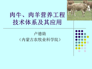 肉牛肉羊营养工程技术体系及其应用课件.ppt