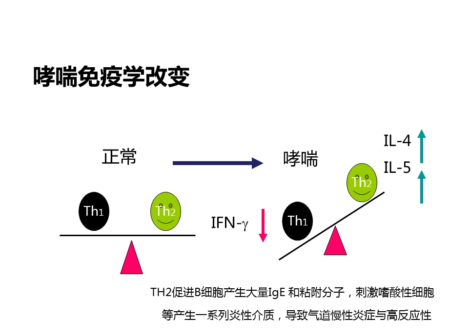 支气管哮喘的诊治ppt课件.ppt_第3页