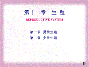 生理ppt课件学——第十二章 生殖.ppt