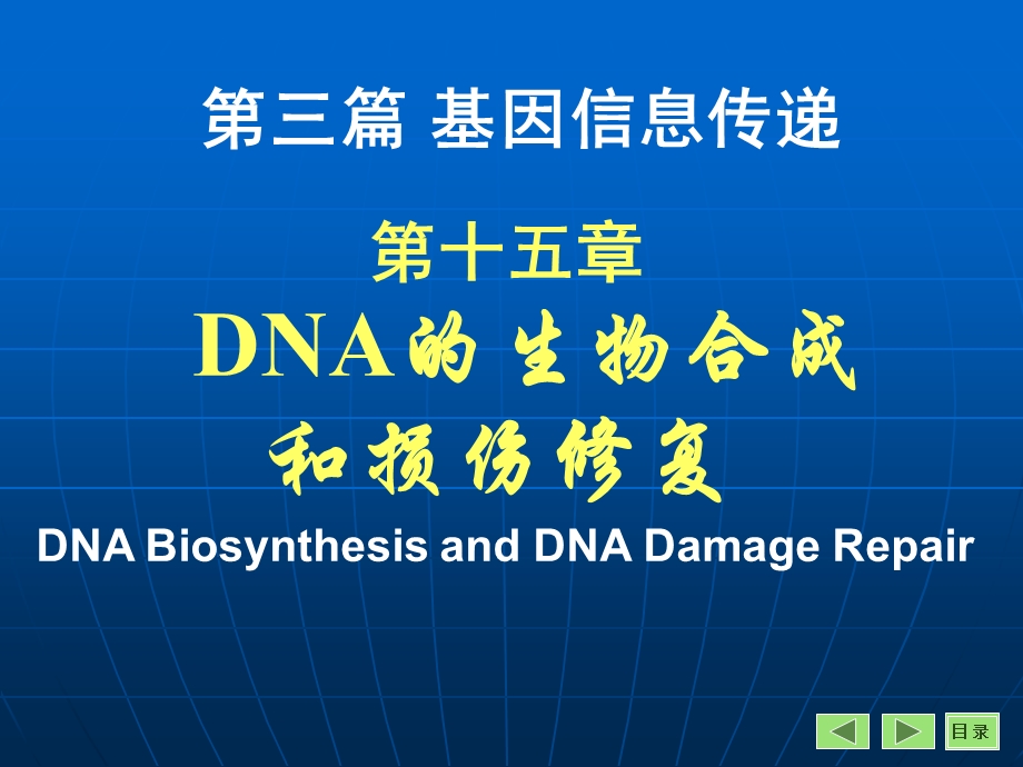 第15章DNA的生物合成和损伤修复课件.ppt_第3页