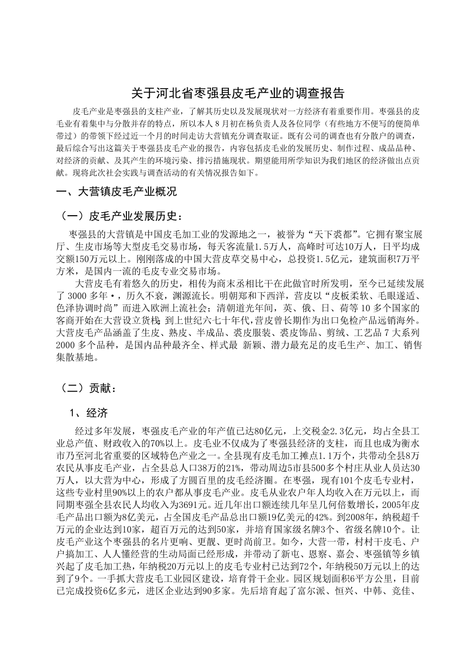 关于河北省枣强县皮毛产业的调查3941.doc_第2页