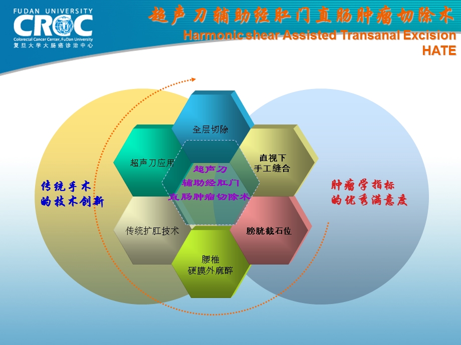 经肛门低位直肠肿瘤局部切除的技术比较课件.ppt_第3页