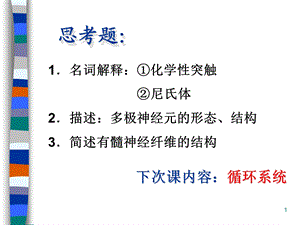 组织胚胎学神经组织课件.ppt