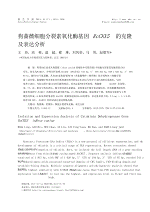 狗蔷薇细胞分裂素氧化酶基因RcCKX5的克隆及表达分析.doc