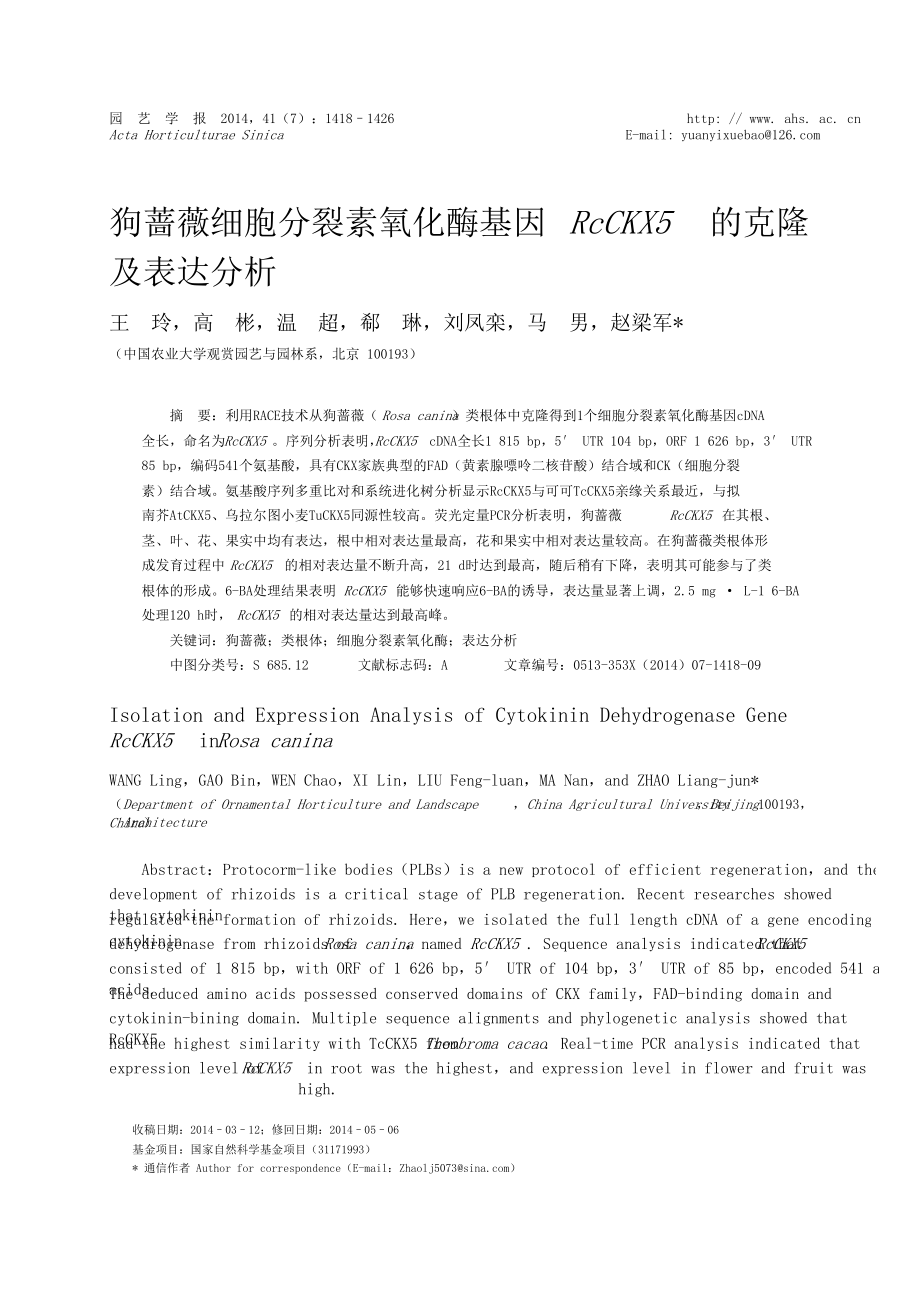 狗蔷薇细胞分裂素氧化酶基因RcCKX5的克隆及表达分析.doc_第1页