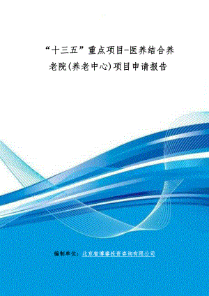 “十三五”重点项目医养结合养老院(养老中心)项目申请报告.doc