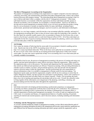 The Role of Management Accounting in the Organization.doc