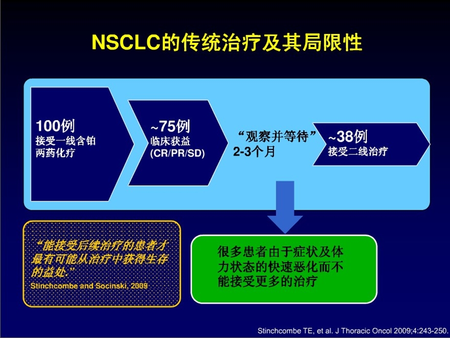 晚期非小细胞肺癌的维持治疗 课件.ppt_第2页