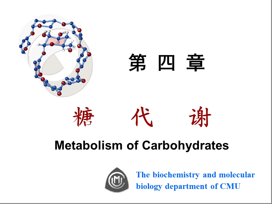 生物化学讲义ppt课件第四章糖代谢精要.ppt_第1页