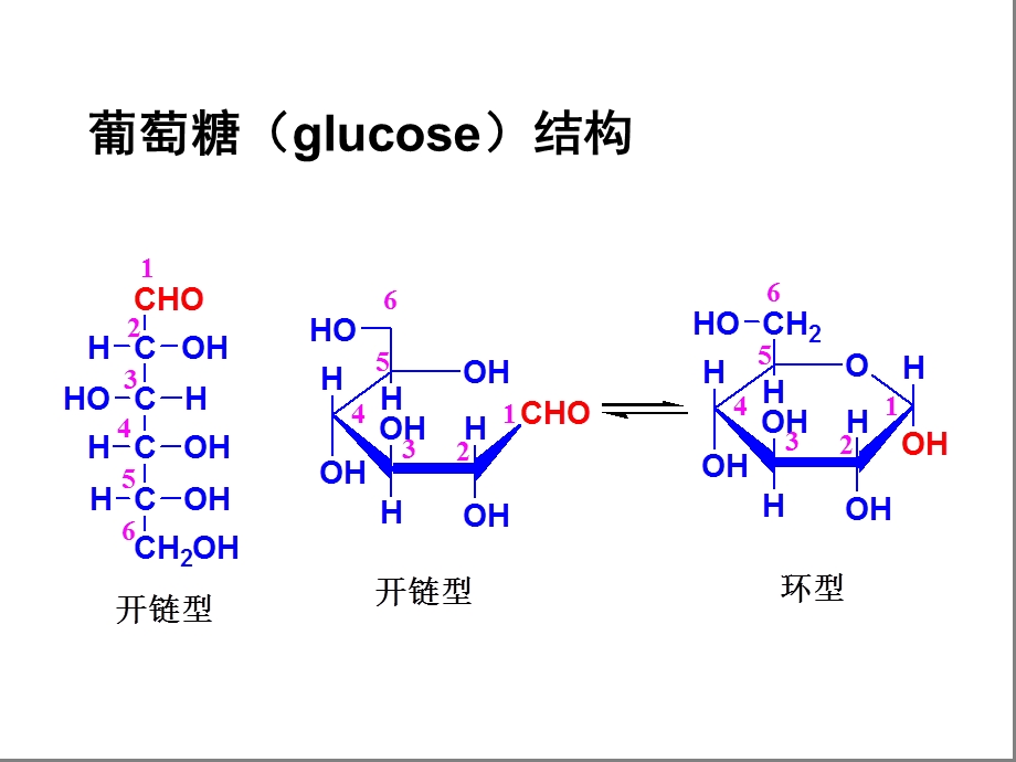 生物化学讲义ppt课件第四章糖代谢精要.ppt_第3页