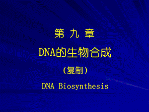 第十章-dna生物合成-复制201幻灯片课件.ppt