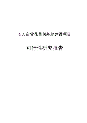 4万亩紫花苜蓿基地建设项目可行性研究报告1.doc