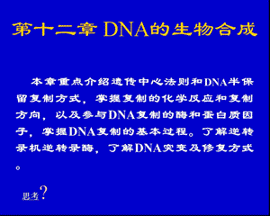 第十二章DNA的生物合成（PPT 精品）课件.ppt