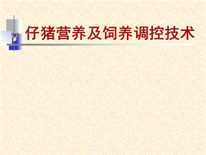 仔猪营养及饲养调控技术课件.ppt