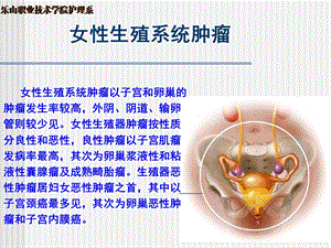 第四节 女性生殖系统肿瘤课件.ppt