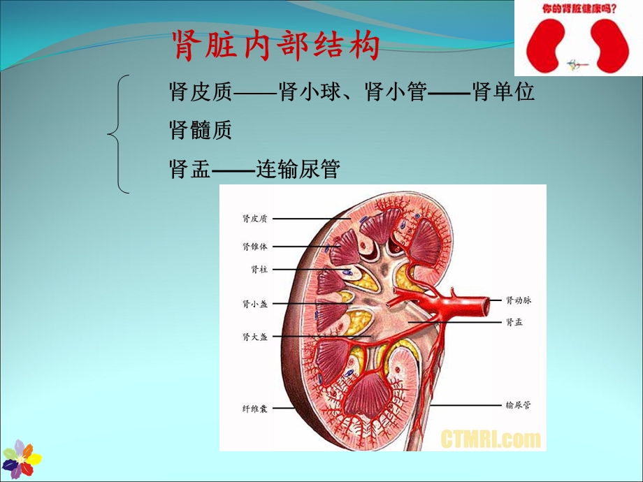 慢性肾衰竭的护理_课件.ppt_第3页