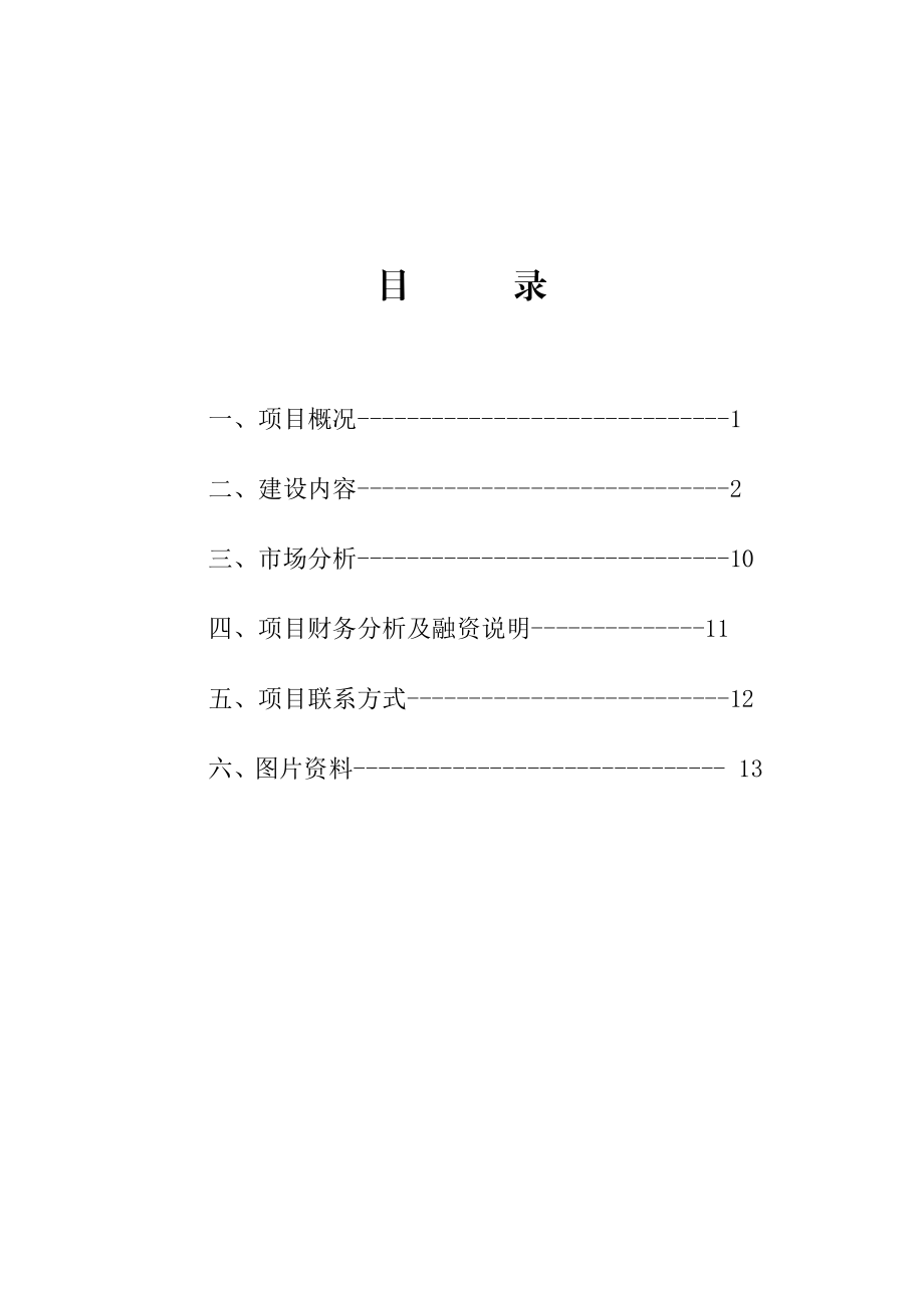 临澧县宋玉城项目建议书.doc_第1页