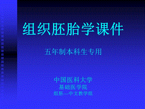 组织胚胎学ppt课件 第16章 呼吸系统.ppt