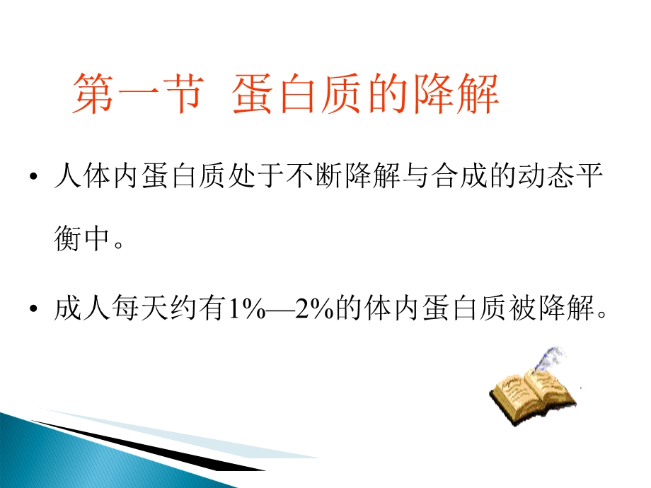 食品生物化学第9章-蛋白质降解和氨基酸分解代谢课件.ppt_第2页