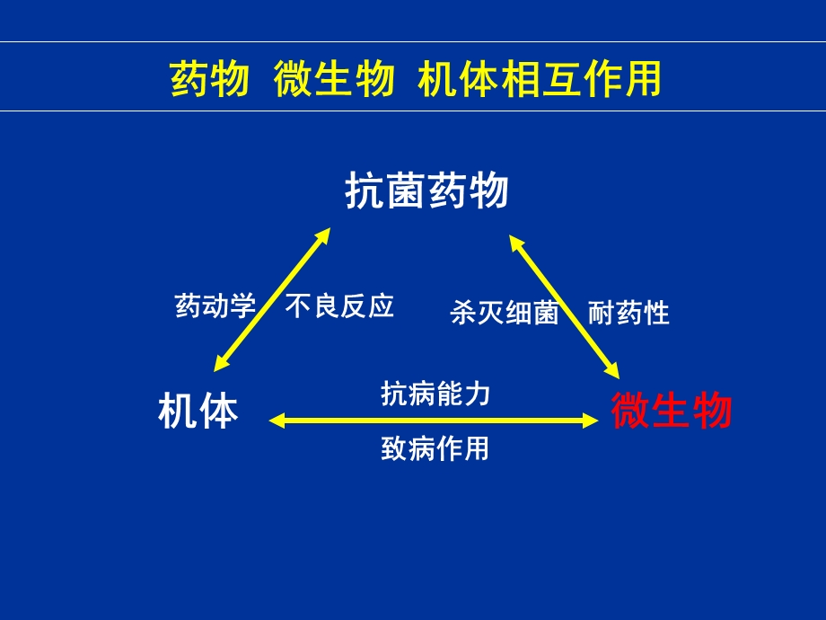 抗菌药物与抗癌药物课件.ppt_第3页