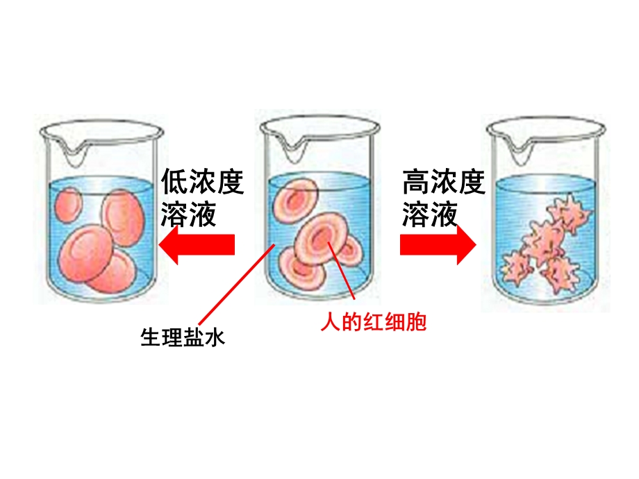 葡萄糖氢钠钾钙镁等离子课件.ppt_第3页