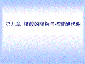 核酸降解和核苷酸代谢- 动物生物化学第八章课件.ppt