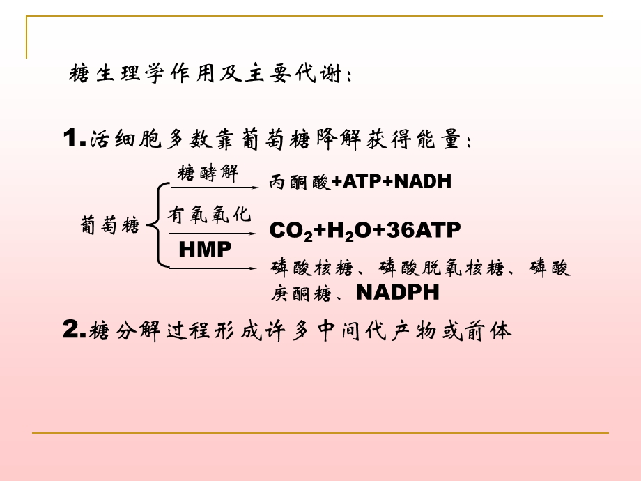 第6章糖代谢1 生物化学　教学ppt课件.ppt_第2页