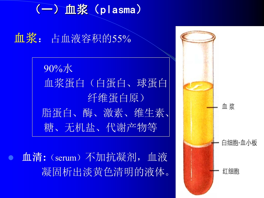 组织胚胎学——血液、淋巴与血细胞的发生课件.ppt_第3页