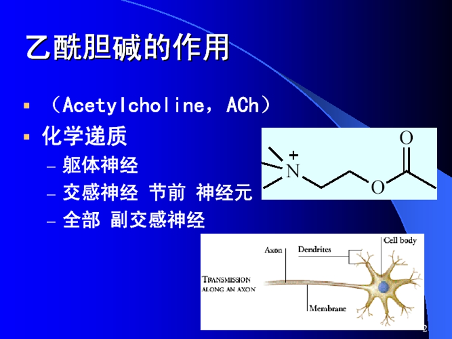 第八章拟胆碱药和抗胆碱药课件.ppt_第2页