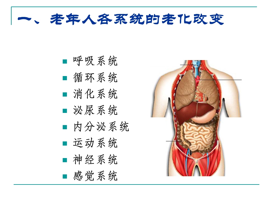 改老年人常见健康问题与护理ppt课件_图文.ppt_第2页