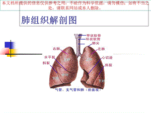 纤维支气管镜检查的医疗护理培训ppt课件.ppt