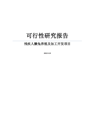 DOC残疾人獭兔养殖及加工开发项目可行性研究报告.doc