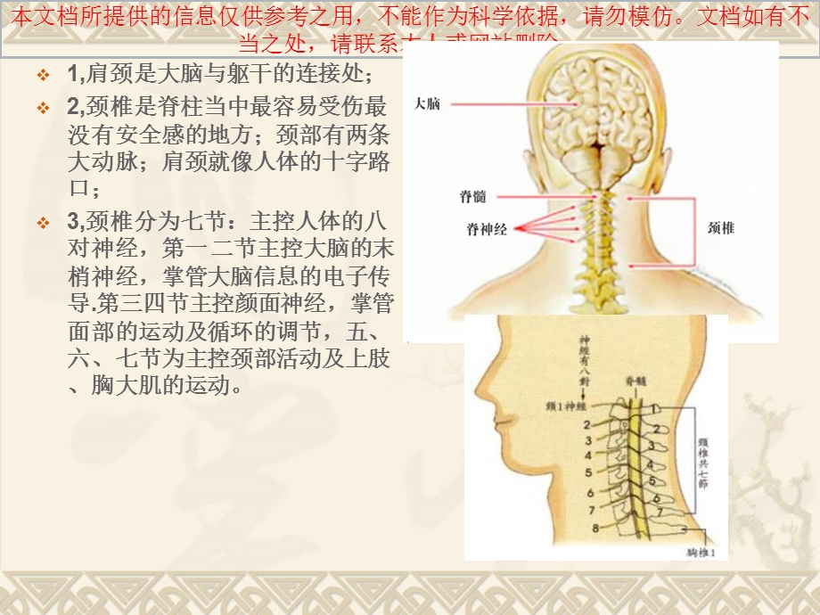 肩颈专业知识详解培训ppt课件.ppt_第2页