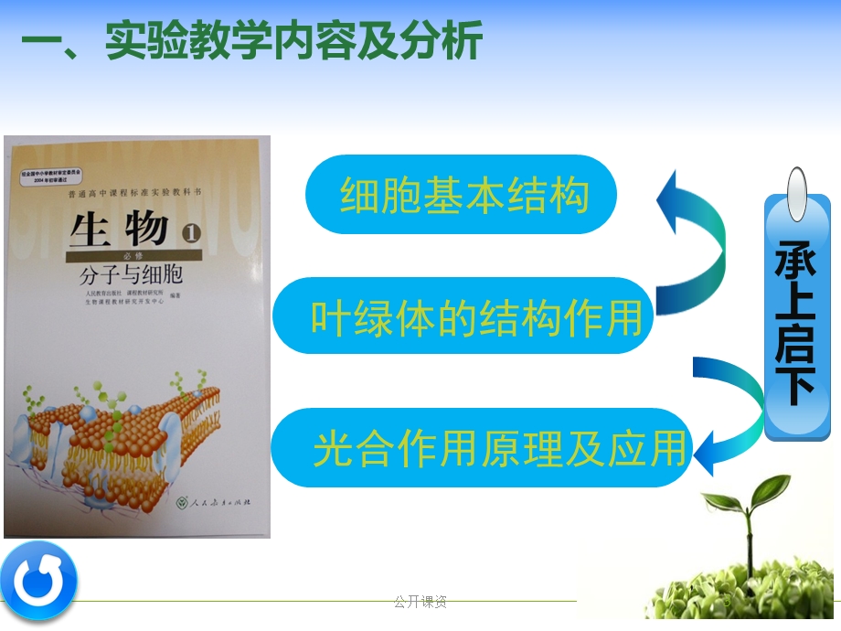 绿叶中色素的提取和分离-说课(学习课资)课件.ppt_第3页