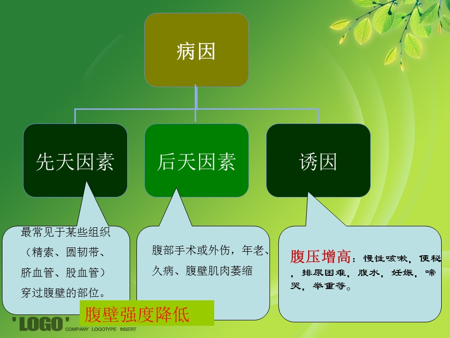 腹股沟疝病人的护理课件.ppt_第3页