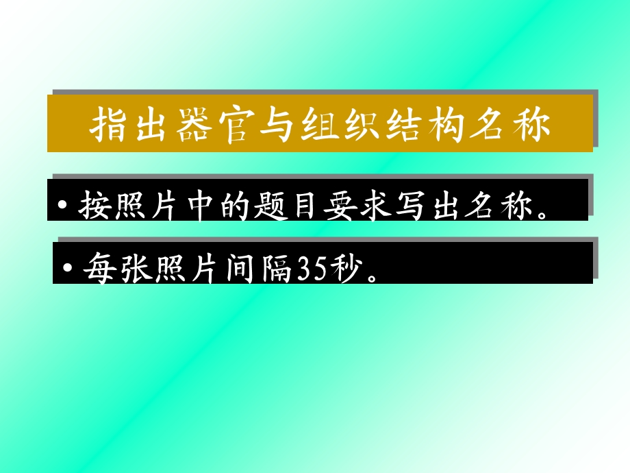 组织学与胚胎学实验考试1 器官与组织结构 课件.ppt_第2页