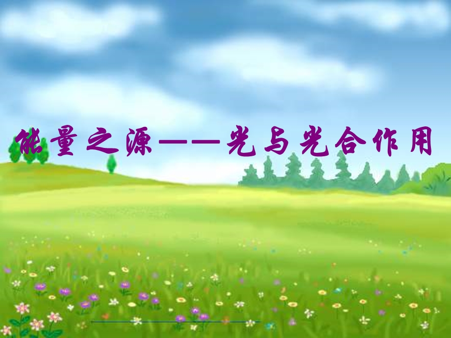 第5章第4节能量之源——光与光合作用课件.ppt_第1页