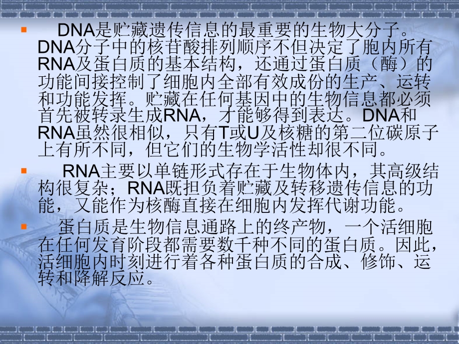 第三讲DNA与RNA的生物合成课件.ppt_第2页