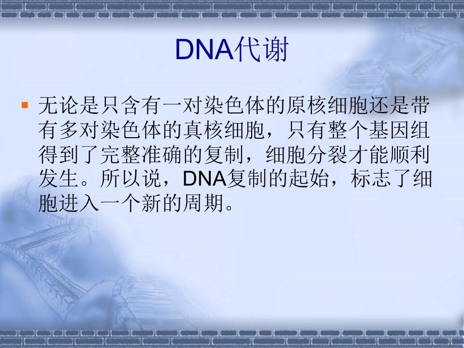 第三讲DNA与RNA的生物合成课件.ppt_第3页