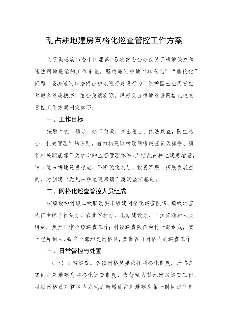 乱占耕地建房网格化巡查管控工作方案.docx_第1页