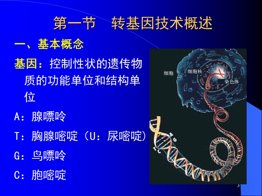 第四章--转基因 课件.ppt_第3页