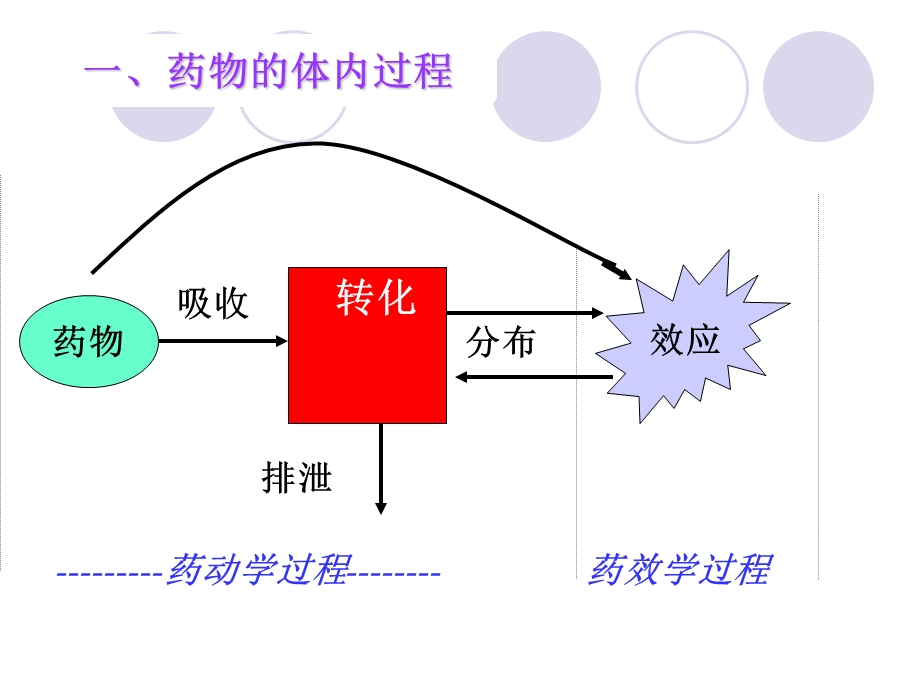 抗癌药物的药代动力学课件.ppt_第3页