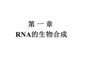 第十四章__RNA的生物合成课件.ppt