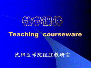 组织学与胚胎学ppt课件泌尿系统.ppt