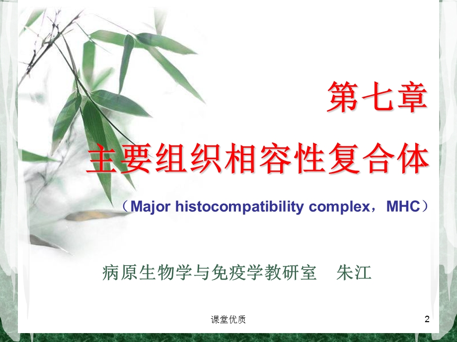 第七章MHC知识发现课件.ppt_第2页