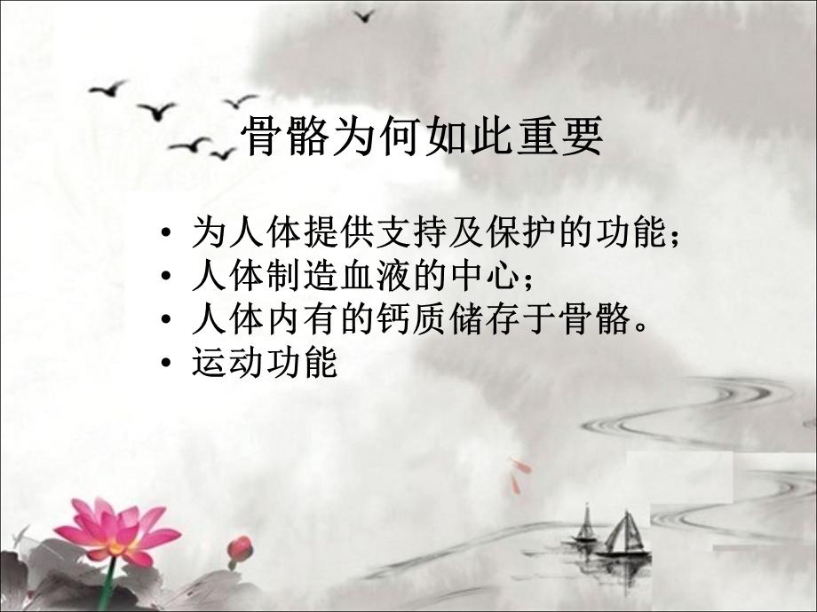 骨质疏松症康复讲义课件.ppt_第2页