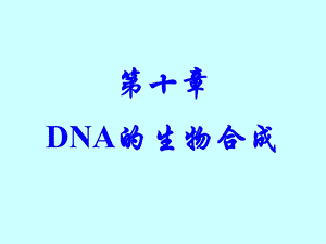 第10章 DNA生物合成课件.ppt