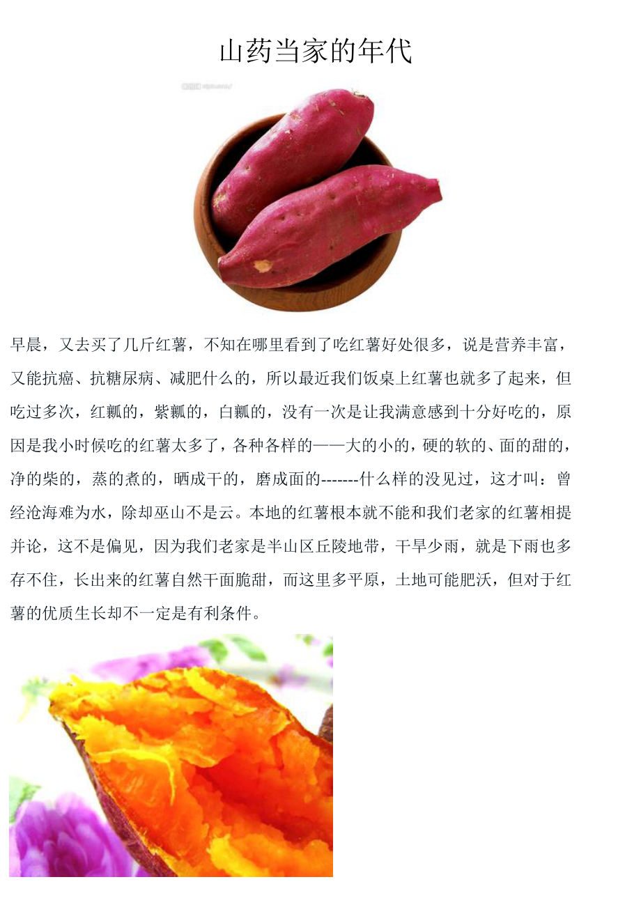 红薯当家的代.doc_第1页